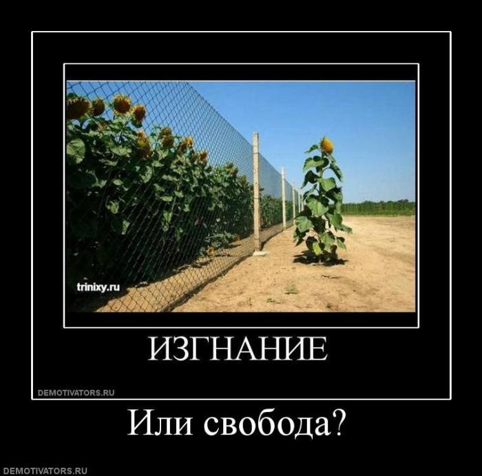 Демотиваторы (73 фото)