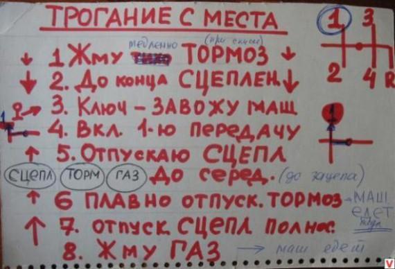 Прикольные картинки (45 фото)