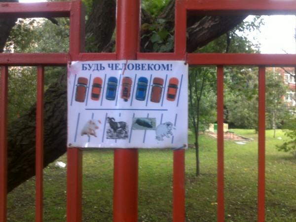 Прикольные картинки (45 фото)