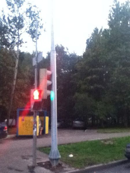 Только в России (52 фото)