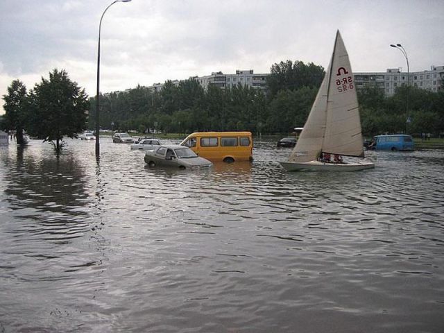 Прикольные картинки (56 фото)