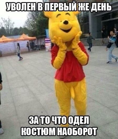 Порция картинок