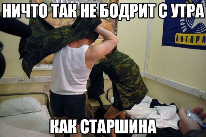 Порция картинок
