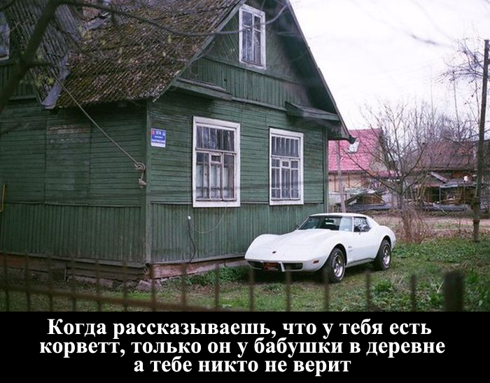 Порция картинок