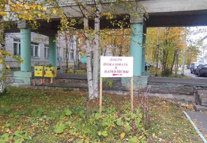 Порция картинок