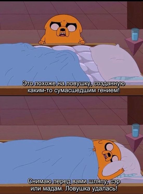 Порция картинок