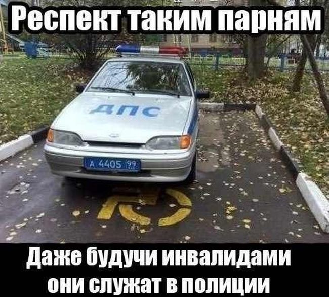 Порция картинок