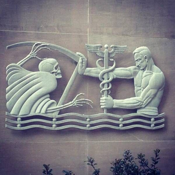 Порция картинок