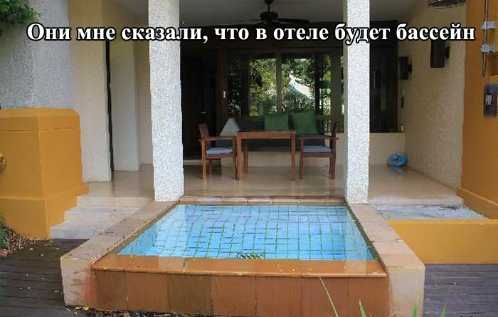 Порция картинок