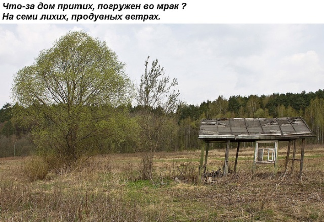 Прикольные картинки