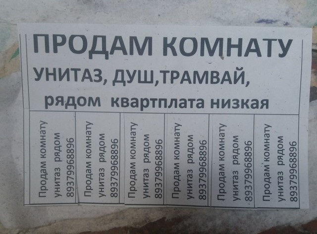 На бескрайних просторах