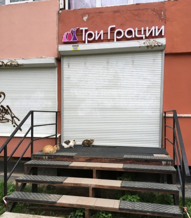 На бескрайних просторах