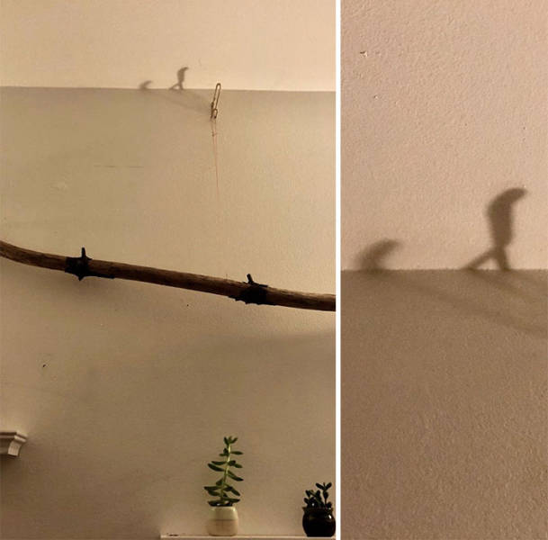 Внимательно присмотритесь к этим теням