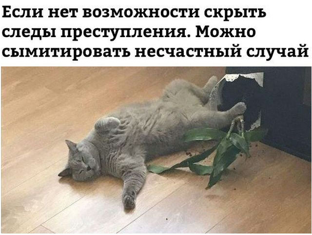 Прикольные картинки