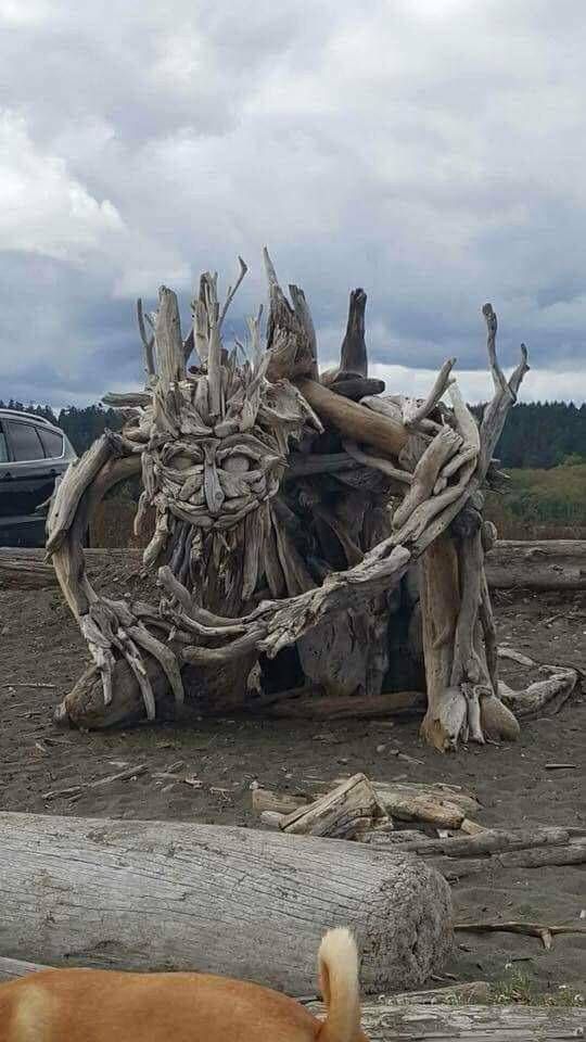 Прикольные картинки