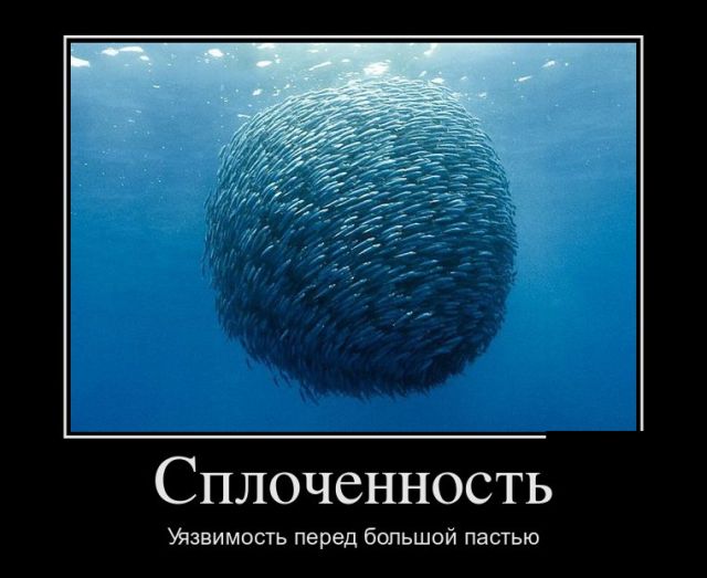 Демотиваторы