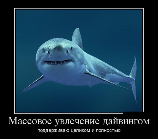 Демотиваторы