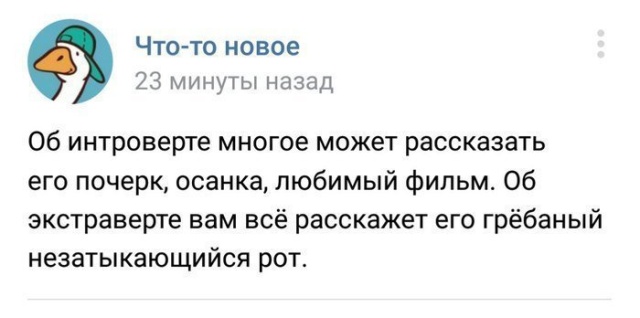 Непростая жизнь интровертов и социофобов