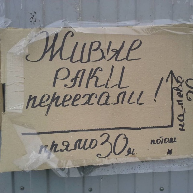 Странные и забавные объявления с наших просторов