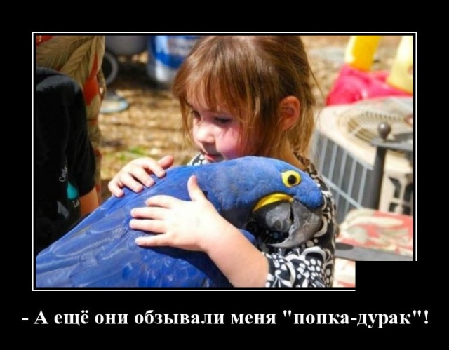 Демотиваторы