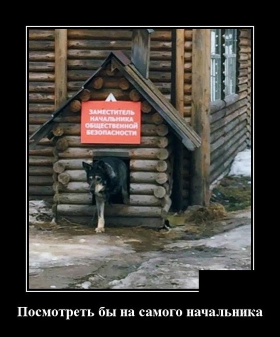 Демотиваторы
