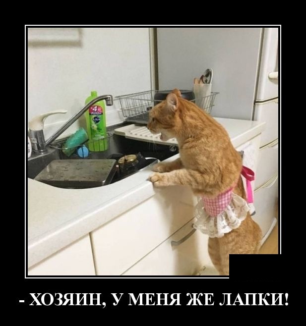 Демотиваторы