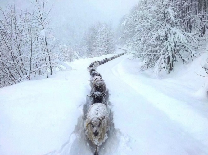 Завораживающие фотографии без фотошопа