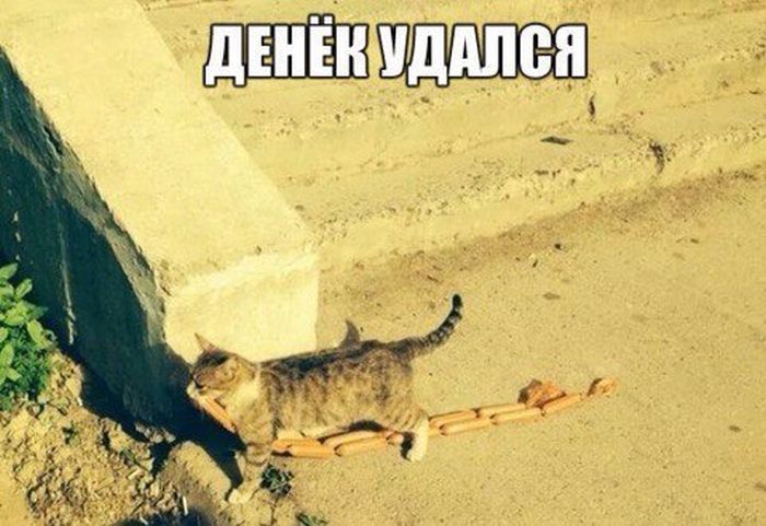 Порция картинок