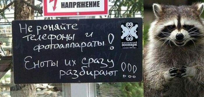 Порция картинок