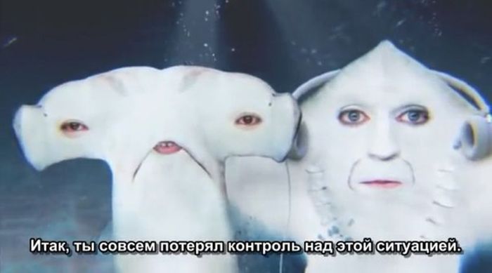 Порция картинок