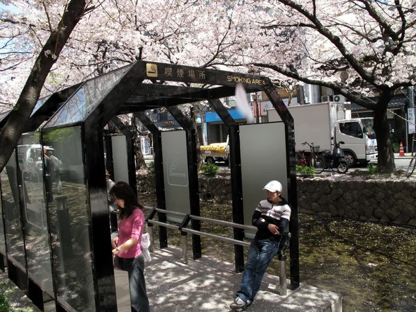 Неожиданная лояльность японцев к курению