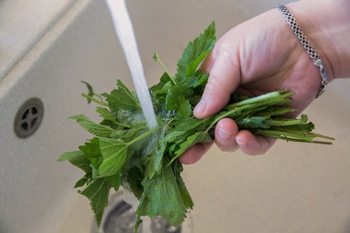 «Энергетики», которые принимают бойцы российского спецназа