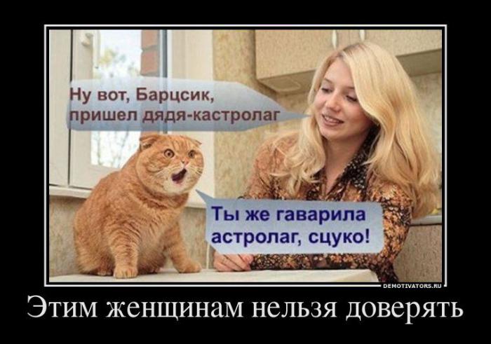 Демотиваторы