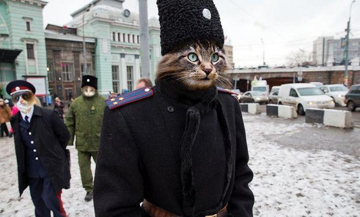 Прикольные картинки
