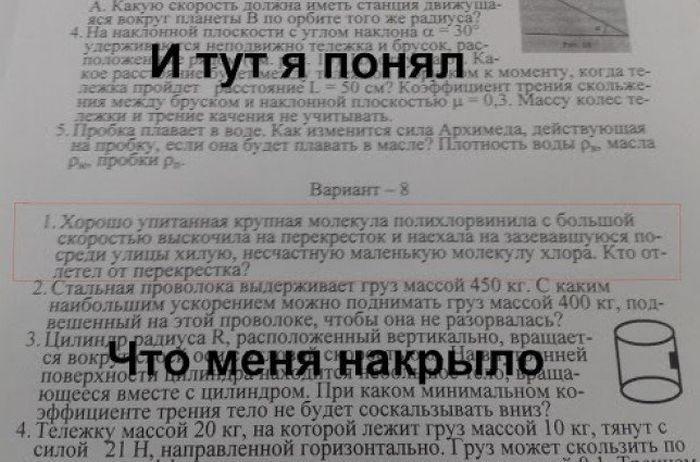 Прикольные картинки