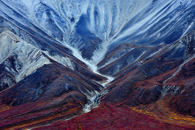Международный конкурс Sony World Photography Awards 2015