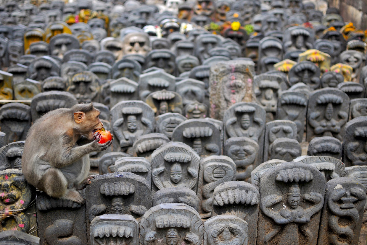Самые популярные фотографии в Instagram 2015 Самые популярные фотографии в Instagram 2015