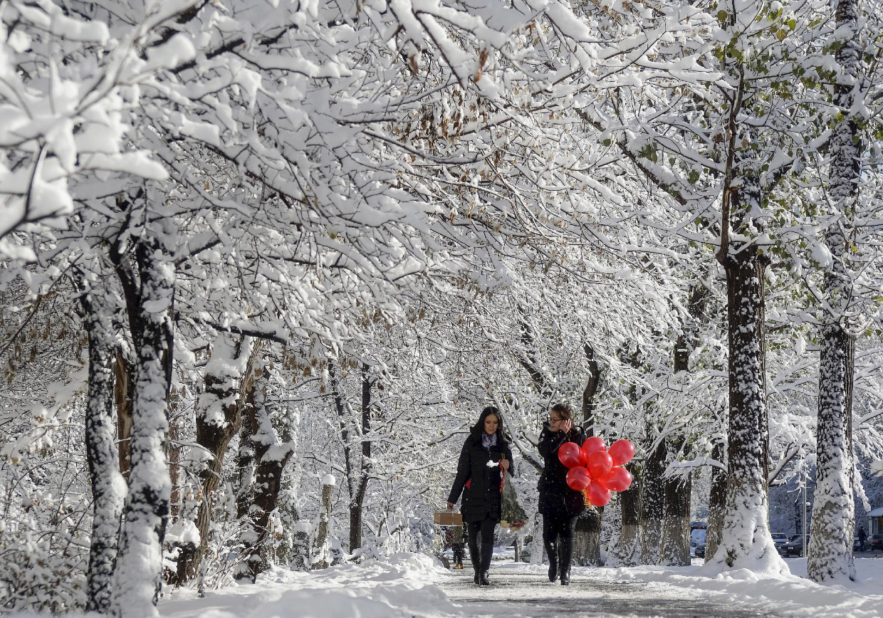 Самые популярные фотографии в Instagram 2015 Самые популярные фотографии в Instagram 2015