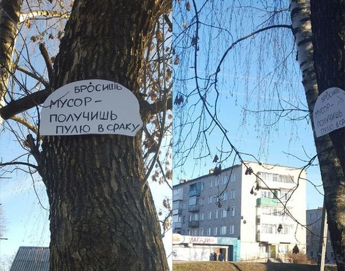 Порция картинок