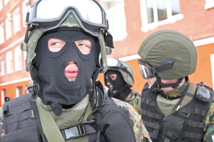 Порция картинок