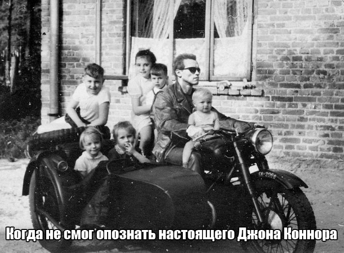 Порция картинок