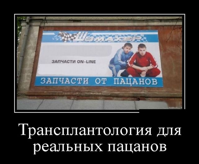 Демотиваторы