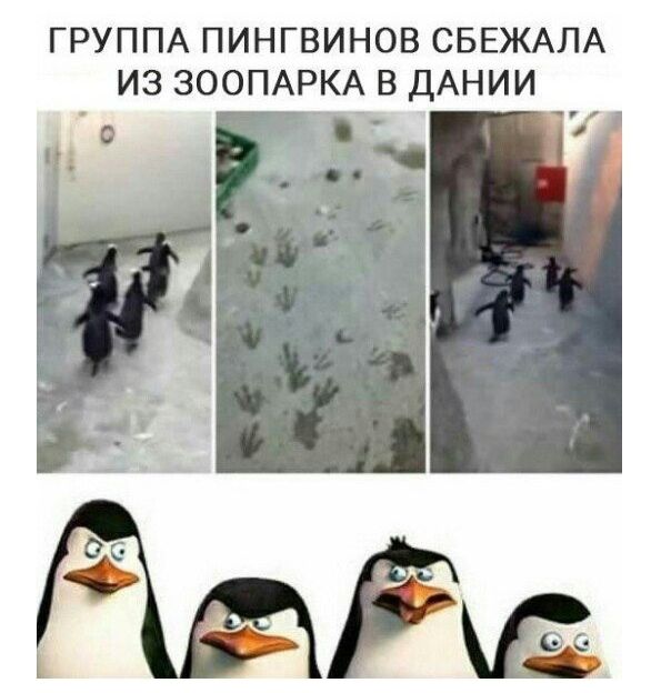 Смешные комиксы