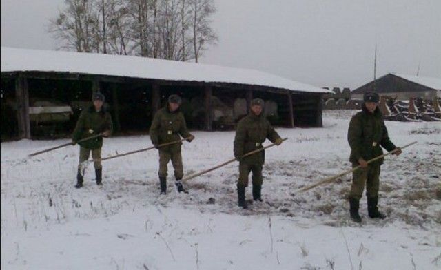 Приколы из армии