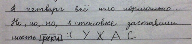 Что пишут дети в дневниках и анкетах