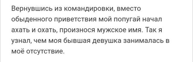 Люди говорят в социальных сетях