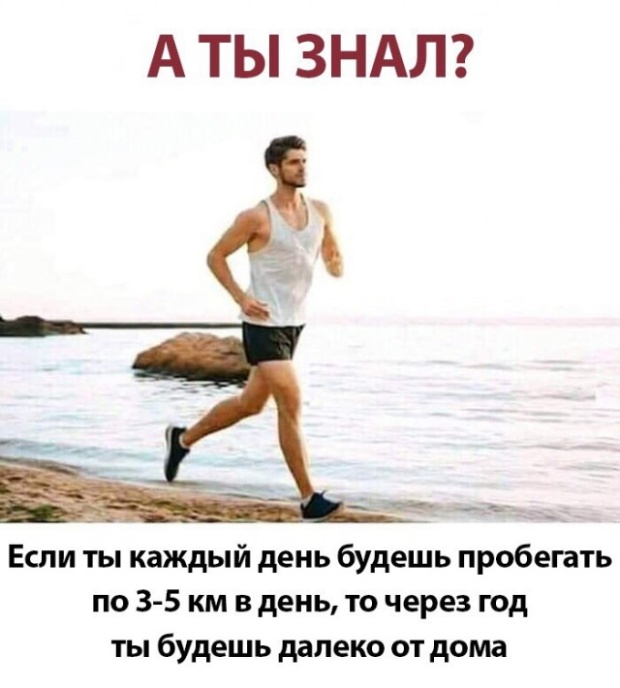Легкий юмор с просторов сети