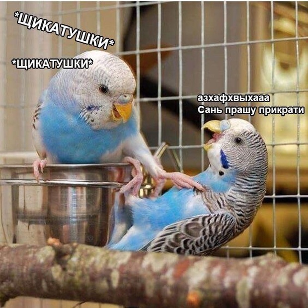 Легкий юмор с просторов сети