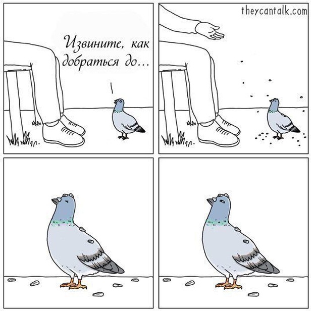 Легкий юмор с просторов сети