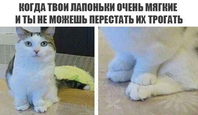 Легкий юмор с просторов сети